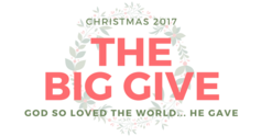Thebiggive2017